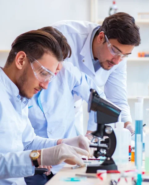 Equipe de químicos que trabalham no laboratório — Fotografia de Stock