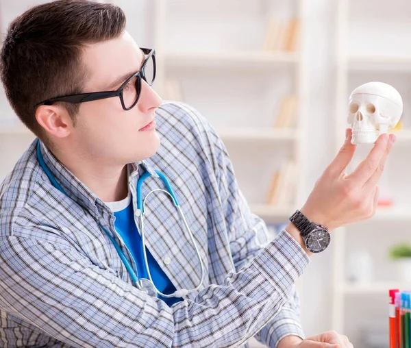 Estudiante de medicina estudiando esqueleto en el aula durante la conferencia —  Fotos de Stock