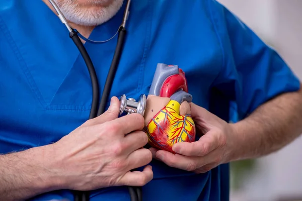 Klinikte çalışan yaşlı bir erkek kardiyolog. — Stok fotoğraf