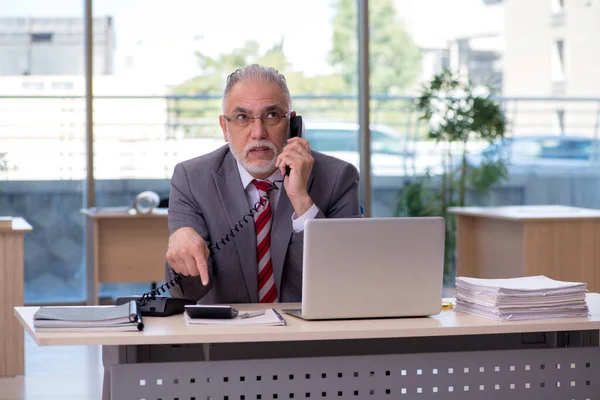 Aged businessman employee working in the office — Stock Photo, Image