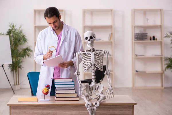 Νεαρός φοιτητής ιατρικής που σπουδάζει ανθρώπινο σκελετό στην τάξη — Φωτογραφία Αρχείου