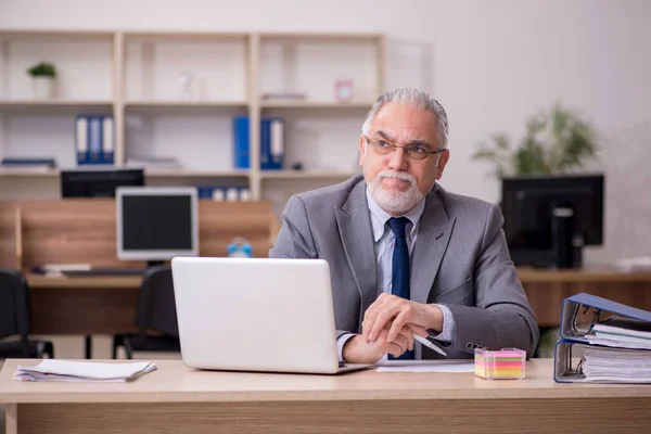 Ancien employé masculin travaillant dans le bureau — Photo