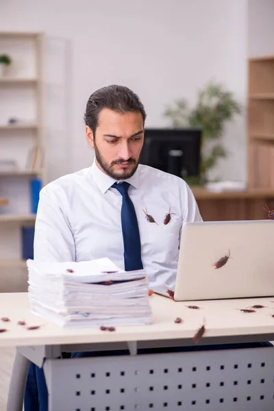 Νεαρός υπάλληλος και πολλές κατσαρίδες στο γραφείο. — Φωτογραφία Αρχείου