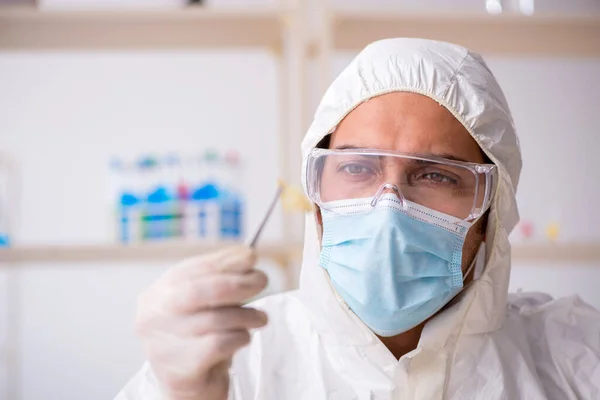 Ung manlig kemist zoolog arbetar på labbet under en pandemi — Stockfoto