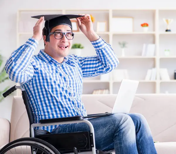 Stock image Young student on wheelchair in disability concept