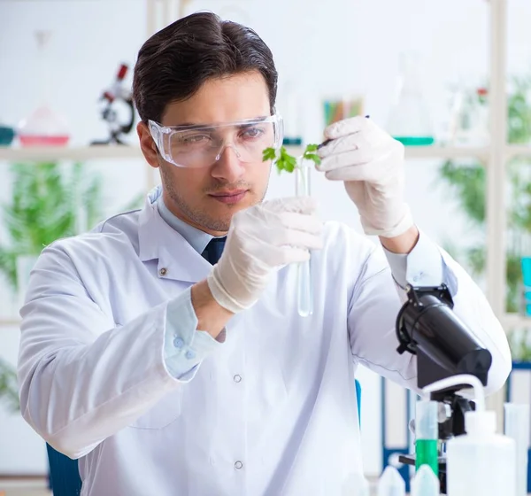 植物学研究室で働く男性生化学者 — ストック写真