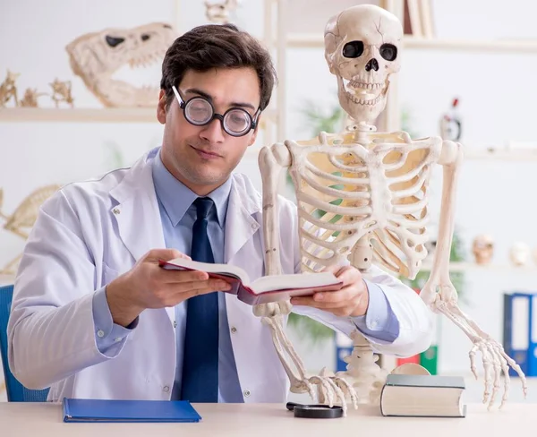 Profesor loco estudiando esqueleto humano —  Fotos de Stock