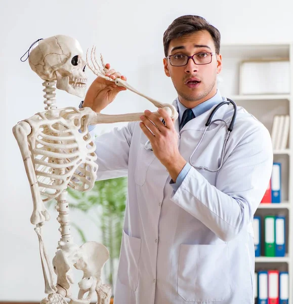 Yong médico masculino con esqueleto aislado en blanco —  Fotos de Stock