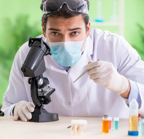 Hombre químico trabajando en el laboratorio — Foto de Stock