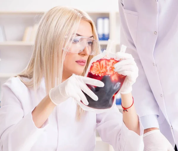 Mujer doctora mirando muestras de sangre en bolsa —  Fotos de Stock