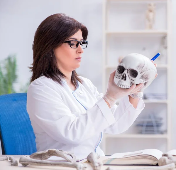 Medico che lavora in laboratorio sullo scheletro — Foto Stock