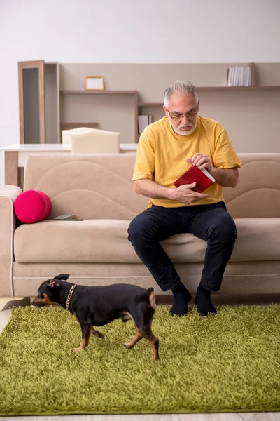 Homem envelhecido com cachorrinho em casa — Fotografia de Stock