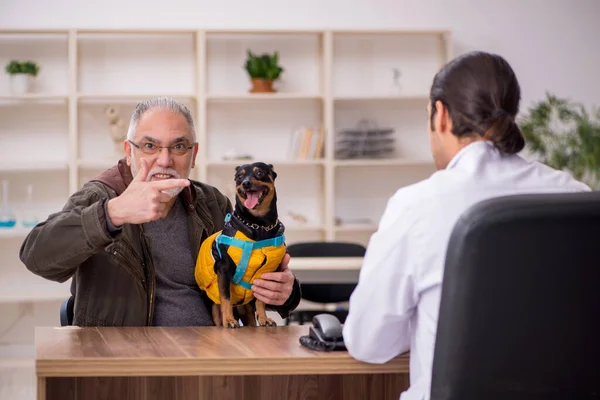 Jovem médico veterinário examinando cão na clínica — Fotografia de Stock