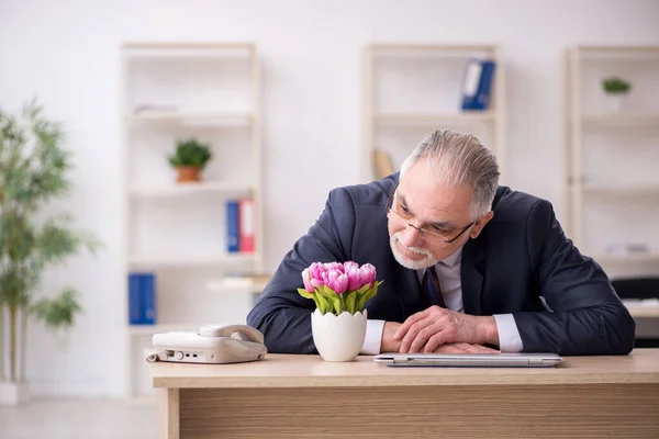 Viejo florista de negocios sentado en la oficina —  Fotos de Stock
