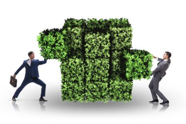Yeşil çevre kavramında iş adamı