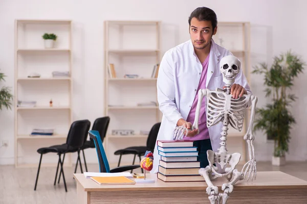 Ung manlig doktorand studerar mänskligt skelett i klassrummet — Stockfoto