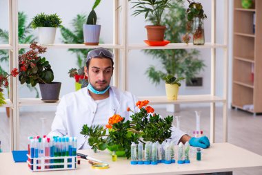 Laboratuvarda çalışan genç erkek kimyager parfümcüsü.