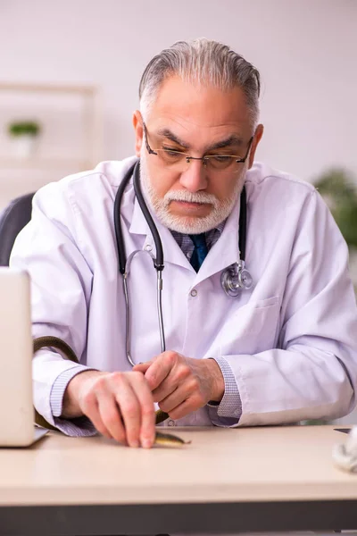 Starý lékař drží hada na klinice — Stock fotografie