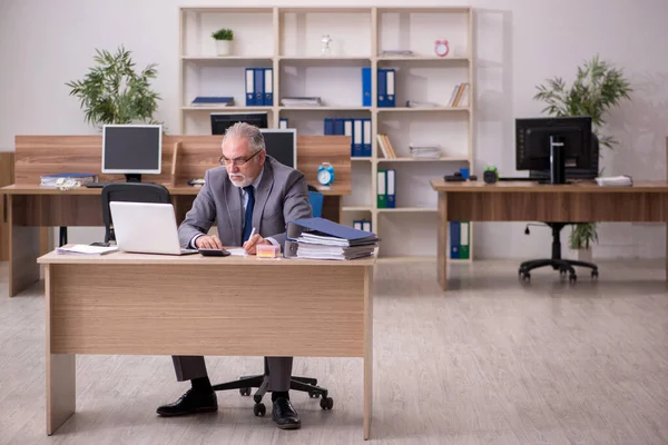 Ancien employé masculin travaillant dans le bureau — Photo