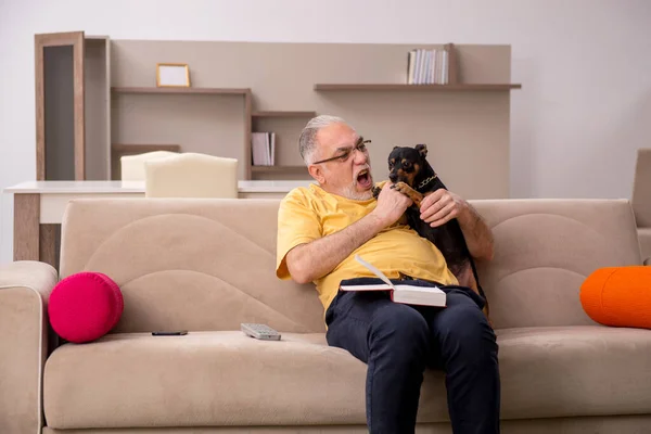 Homme âgé avec petit chien à la maison — Photo
