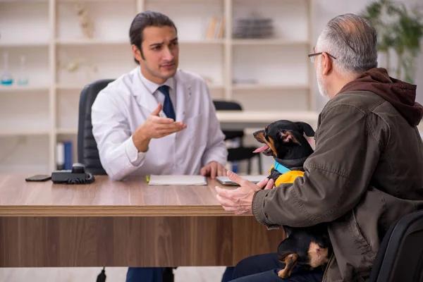 Jovem médico veterinário examinando cão na clínica — Fotografia de Stock