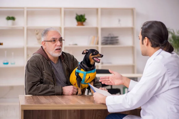 Молодий чоловік лікар ветеринар оглядає собаку в клініці — стокове фото