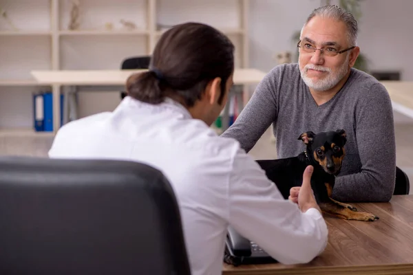 Ung manlig läkare veterinär undersöka hund på kliniken — Stockfoto