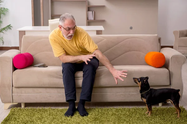 Hombre viejo con perrito en casa — Foto de Stock