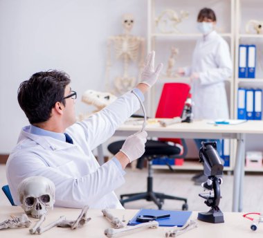 Profesör laboratuvarda insan iskeletini inceliyor.