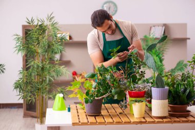 Evin içinde bitkileri olan genç bir erkek bahçıvan.