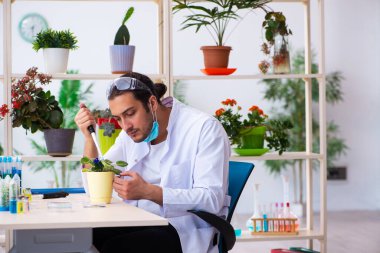 Laboratuvarda çalışan genç erkek kimyager parfümcüsü.