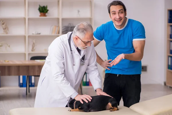 Velho médico veterinário masculino examinando cão na clínica — Fotografia de Stock