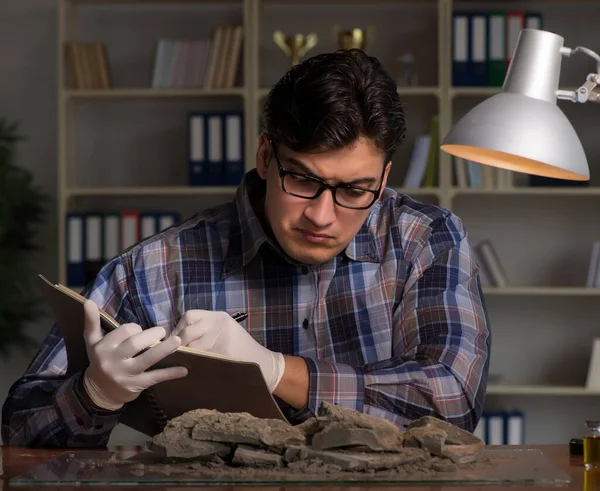 Arkeolog geç saatlere kadar ofiste çalışıyor.