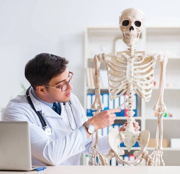 Yong médico masculino com esqueleto isolado em branco — Fotografia de Stock