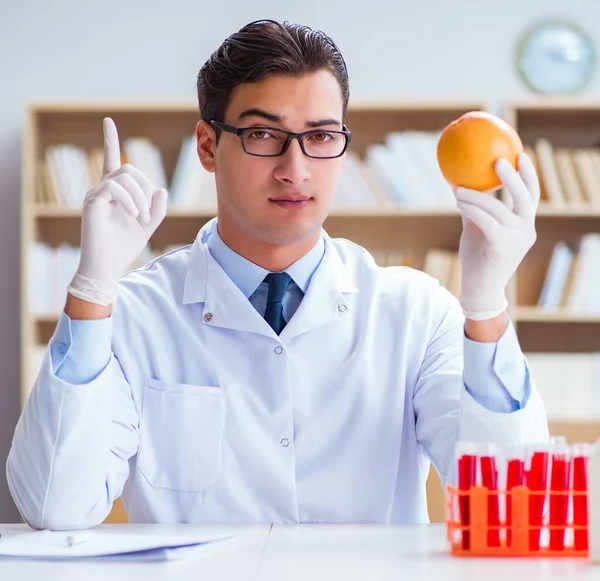 Scientifique travaillant sur les fruits et légumes biologiques — Photo