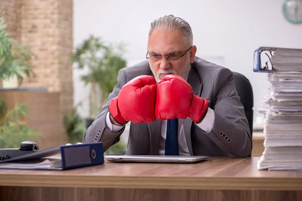 Alter Geschäftsmann mit Boxhandschuhen am Arbeitsplatz — Stockfoto