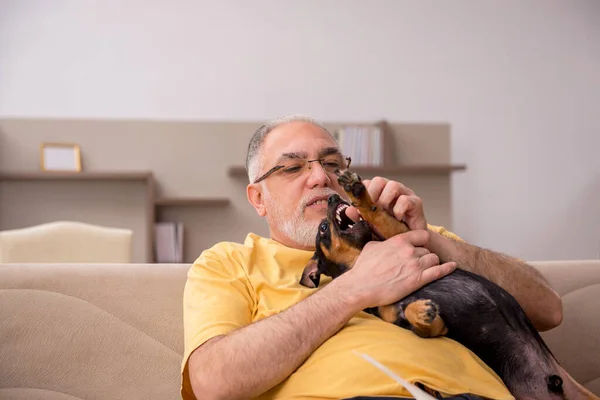 Homem envelhecido com cachorrinho em casa — Fotografia de Stock