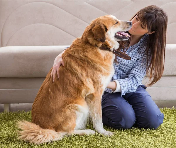 Ευτυχισμένη γυναίκα ιδιοκτήτης σκύλου στο σπίτι με golden retriever — Φωτογραφία Αρχείου