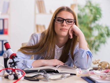 Sınıfta hayvan iskeletini inceleyen öğrenci.