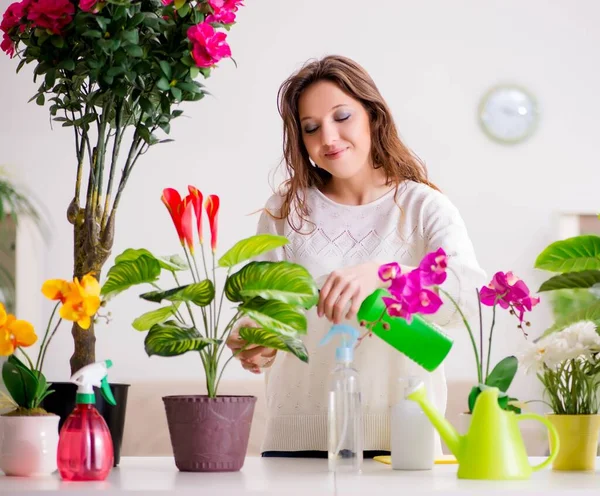 Ung kvinna som tar hand om växter hemma — Stockfoto