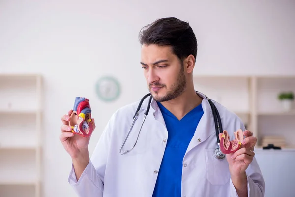 Jovem médico cardiologista em sala de aula — Fotografia de Stock