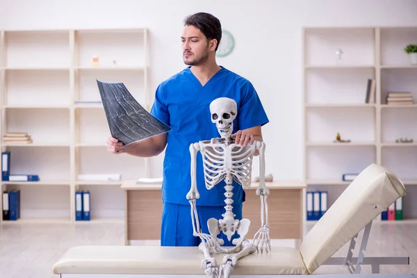 Genç erkek doktor radyoloji uzmanı iskelet hastasını inceliyor. — Stok fotoğraf