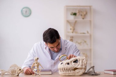 Genç erkek paleontolog laboratuvarda antik hayvanları inceliyor.
