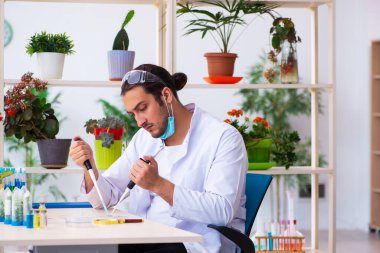 Laboratuvarda çalışan genç erkek kimyager parfümcüsü.