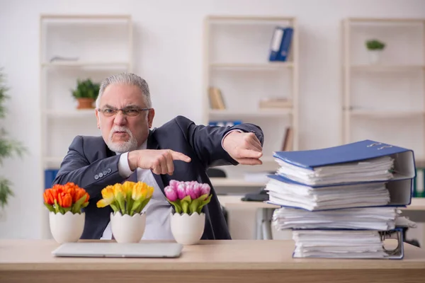 Gamle affärsman florist sitter på kontoret — Stockfoto