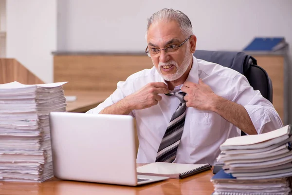 Velho empregado masculino e muito trabalho no escritório — Fotografia de Stock