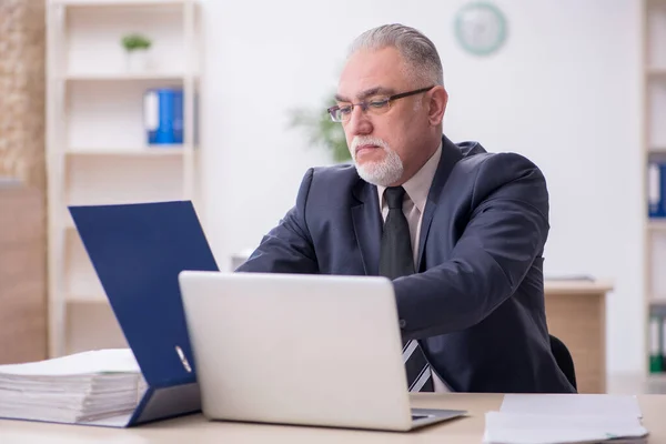 Deux employés masculins travaillant dans le bureau — Photo