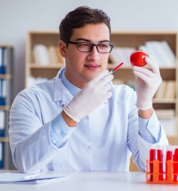 Bilim adamı organik meyve ve sebzeler üzerinde çalışıyor.