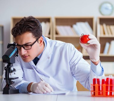 Bilim adamı organik meyve ve sebzeler üzerinde çalışıyor.