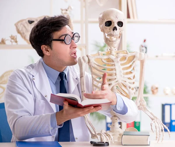 Profesor loco estudiando esqueleto humano —  Fotos de Stock